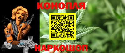 гидропоника Партизанск
