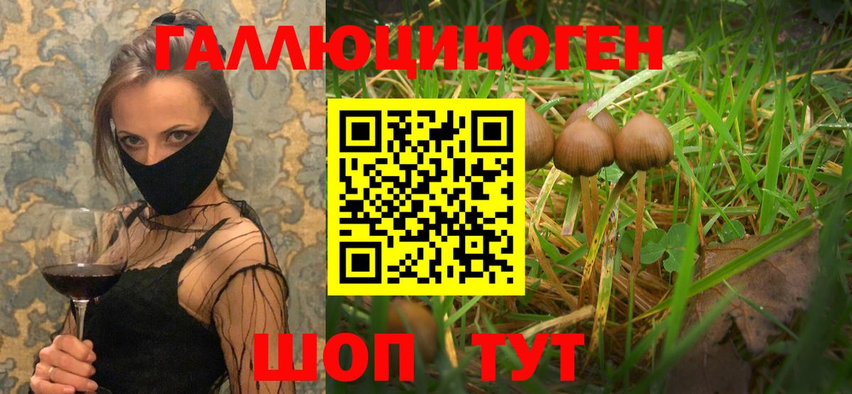Псилоцибиновые грибы ЛСД Серпухов