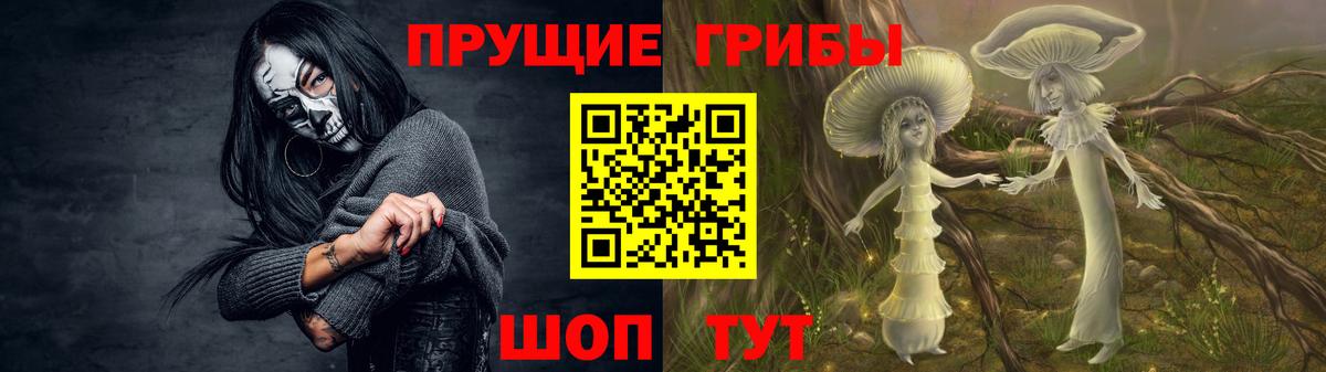 Серпухов  Псилоцибиновые грибы Cubensis  Псилоцибиновые грибы прущие грибы  Вход с VPN 